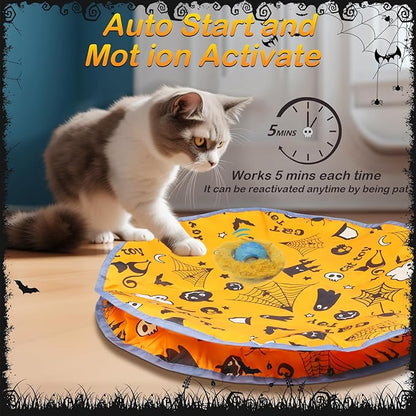 Interactive Cat Toys Ball Rolling in The Pouch, Chirping & Motion Activated Interactive Cat Ball Toy Begins Hide and Seek Game in Mat, Rechargeable Cat Exercise Toy - PAWPICO