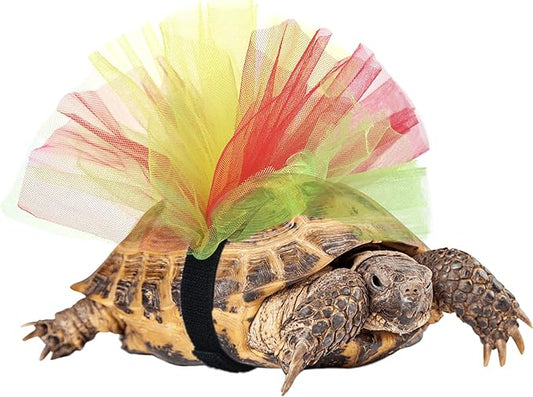 Tortoise Tutu Costume for Pet Tortoise Turtle Decoration Creative Gift tinkare