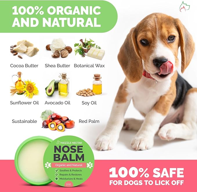 Dog Nose Balm - 100% Organic & Natural Nose Moisturizer and Healing Cream Butter - Dog Dry Nose Treatment and Moisturizer - Heals, Repairs & Protects Chapped, Damaged & Rough Noses QualityPet