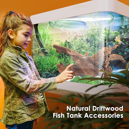 Natural Small Coral Driftwood for Aquarium Decor Fish Tank Decorations Reptile Decaor, Assorted Driftwood Branch 2-4" Pack of 10 Jorewood