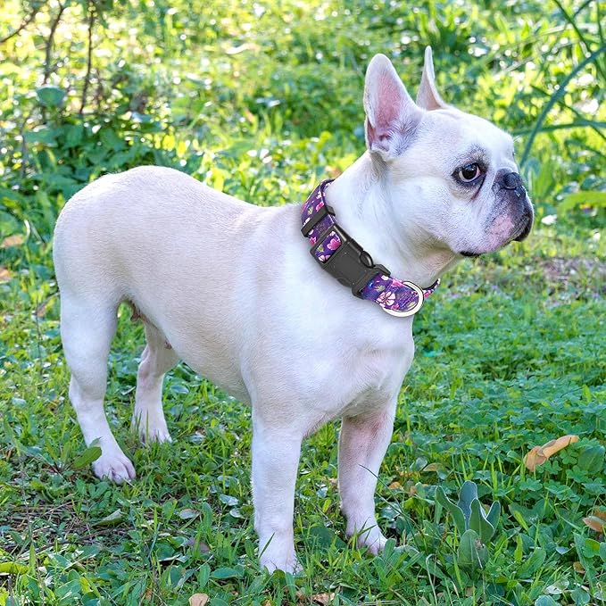 Reflective Dog Collar Padded with Soft Neoprene Breathable Adjustable Nylon Dog Collars for Small Medium Large Dogs (X-Small (Pack of 1), Purple/Pink Floral Collar+Leash) ladoogo