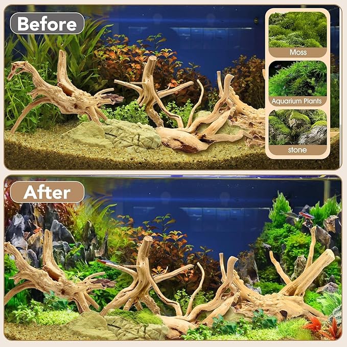 Natural Small Spiderwood Driftwood for Aquarium Decor Rptile Fish Tank Decoration Assort Branch 2-4'' 10 Pcs Jorewood