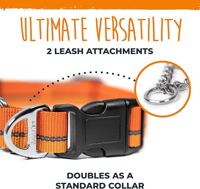Mighty Paw Martingale Dog Collar 2.0 | Trainer Approved Limited Slip Collar with Stainless Steel Chain & Heavy Duty Buckle - Modified Cinch for Gentle & Effective Pet Training - Medium, Orange MightyPaw