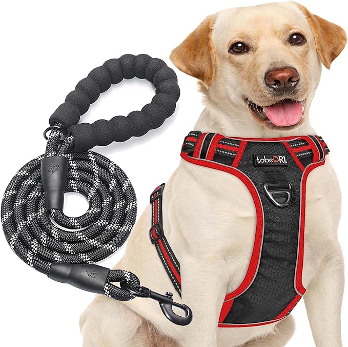 No Pull Harness Adjustable Reflective Oxford Easy Control Medium Large Dogs with A Free Heavy Duty 5ft Leash tobeDRI
