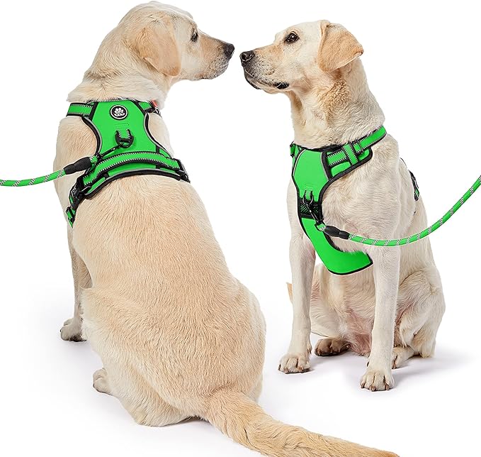 NESTROAD No Pull Dog Harness,Adjustable Oxford Dog Vest Harness with Leash,Reflective No-Choke Pet Harness with Easy Control Soft Handle for Large Dogs(X-Large,FluorescentGreen) NESTROAD