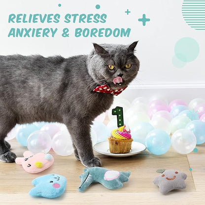 20 Pieces Catnip Toys for Indoor Cat Plush Cat Chew Toys Lovely Kitten Catnip Toys Cat Toys Kitten Entertaining Interactive Cat Toys for Cat Kitten (Lovely) - PAWPICO
