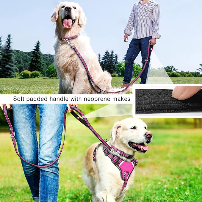 WINSEE Pet Harness Collar and Leash Set, All-in-one Reflective Dog Harness No Pull with Adjustable Buckles for Puppies, Small, Medium, Large, and Extra-Large Dogs (Medium, Rosy) WINSEE