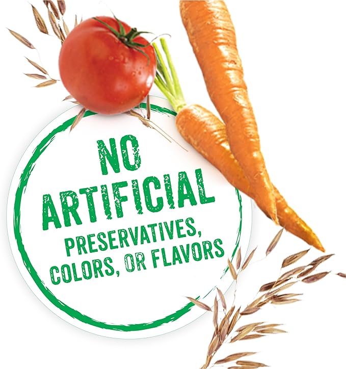 Purina Beneful Small Breed Wet Dog Food With Gravy, IncrediBites with Real Salmon - (8 Packs of 3) 3 oz. Cans - PAWPICO