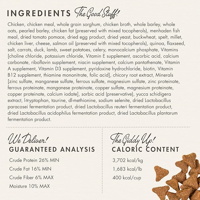 Fromm Adult Gold with Ancient Grains Dry Dog Food (15 lb) - PAWPICO