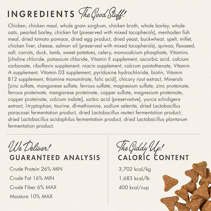 Fromm Adult Gold with Ancient Grains Dry Dog Food (15 lb) - PAWPICO