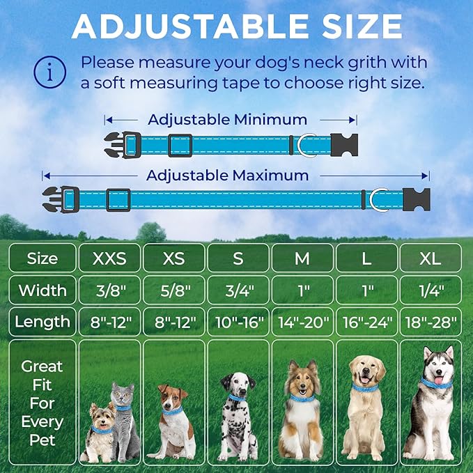 TECEUM Reflective Pet Collar – Sky Blue – S – Basic Nylon Dog Collar – Quick Release Buckle – Fits Small, Medium and Large Dogs, Puppies, Cats – ESA & Service Dog Options TECEUM