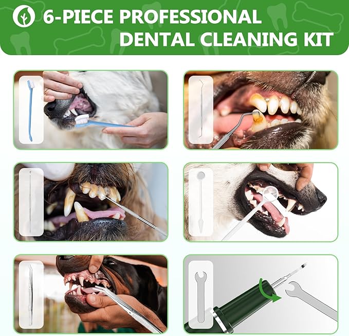 Dog Plaque Remover for Teeth - Pet Ultrasonic Tooth Cleaner, 6 Adjustable Modes Dog Teeth Cldaning Kit with LED Light, Cats and Dogs Tartar Remover for Teeth (Green, Large) PAWPICO