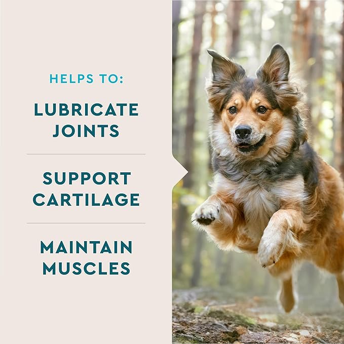 VetIQ Glucosamine Hip & Joint Supplement for Dogs, 60 Soft Chews, Dog Joint Support Supplement with MSM and Krill, Dog Health Supplies Large & Small Breed, Chicken Flavored Chewables VetIQHealthSupplements