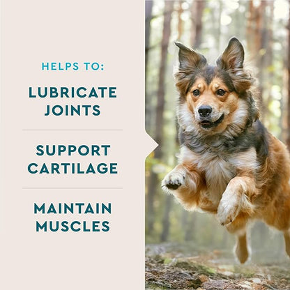 VetIQ Glucosamine Hip & Joint Supplement for Dogs, 180 Soft Chews, Dog Joint Support Supplement with MSM and Krill, Dog Health Supplies Large & Small Breed, Chicken Flavored Chewables VetIQHealthSupplements