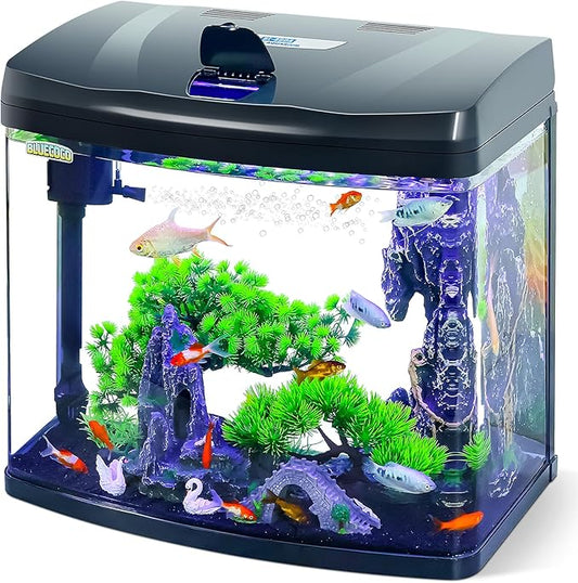 10 Gallon Glass Aquarium Starter Kit with Flip-Top Feeding Port for Betta Fish: Crystal Clear Viewing, Eco-Cycle Filtration, Air Pump, and LED Lighting Bluecoco