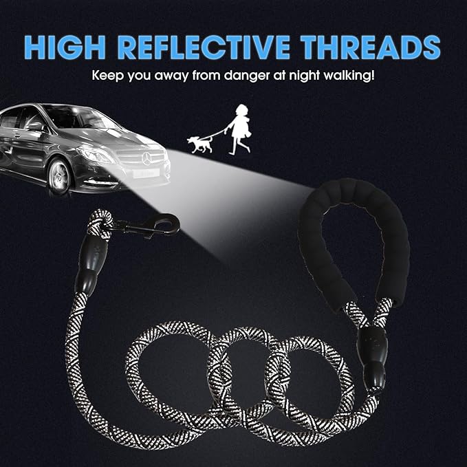 BAAPET 2/4/5/6 FT Dog Leash with Comfortable Padded Handle and Highly Reflective Threads for Small Medium and Large Dogs (5FT-1/2'', Black Silver) - PAWPICO