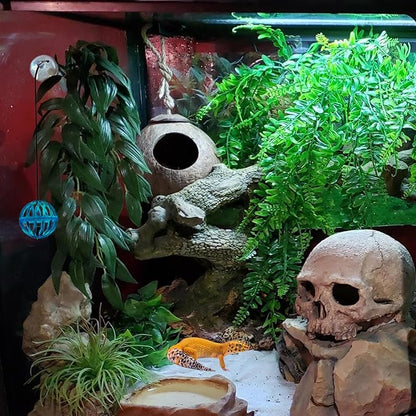 Crested Gecko Tank Accessories, Reptile Hammock and Vines Plants, Coco Hut Coconut Shell with Ladder Hideout Cave Habitat Decor for Lizard Leopard Gecko Tortoise Amphibians Hermit Crab BUYNOW