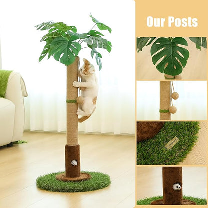 Cat Scratching Post for Indoor Cats and Kitten - 35.43" Tall Cat Scratching Post with Sisal Rope,Palm Tree Cat Scratch Post with Hanging Ball - PAWPICO