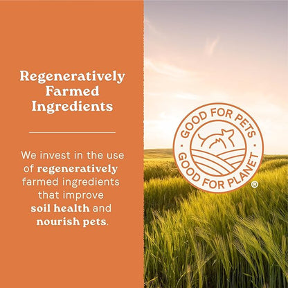 Canidae All Life Stages Real Lamb & Ancient Grains Recipe – High Protein Premium Dry Dog Food for All Ages, Breeds, and Sizes– 27 lbs. - PAWPICO