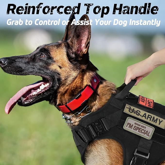 rabbitgoo Tactical Dog Harness for Small, Heavy Duty Pet Harness with Handle, No-Pull Service Vest Small Breed, Adjustable Military Dog Vest for Training Hunting Walking, Black, S rabbitgoo