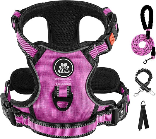 IVY&LANE No Pull Dog Harness for Medium Dogs, Dog Vest Harness with Leash, Safety Belt and Storage Strap, Fully Adjustable Harness, 360° Reflective Strip, Soft Handle (Fuchsia Pink,M) IVYLANE