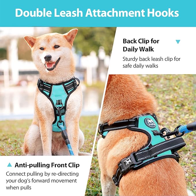 PoyPet No Pull Dog Harness, No Choke Front Clip Dog Reflective Harness, Adjustable Soft Padded Pet Vest with Easy Control Handle for Small to Large Dogs(Mint Blue,M) PoyPet