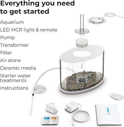 biOrb Loop 15 Acrylic 4-Gallon Aquarium with Multi-Color Remote-Controlled LED Lights Modern Compact Tank for Tabletop or Desktop Display, White-Trimmed Tank biOrb