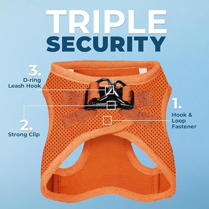 Voyager Step-In Air Dog Harness - All Weather Mesh, Reflective, No Pull Harness for Small, Medium Dogs, Cats - Secure with Hook & Loop Fastener, Buckle, Double D-Rings - Orange, XXS BestPetSuppliesLLC