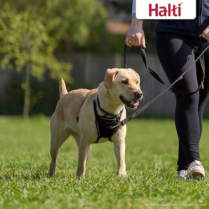 HALTI No Pull Harness - To Stop Your Dog Pulling on the Leash. Adjustable, Lightweight and Easy to Use. Reflective Dog Training Harness for Medium Dogs (Size M) CompanyofAnimals