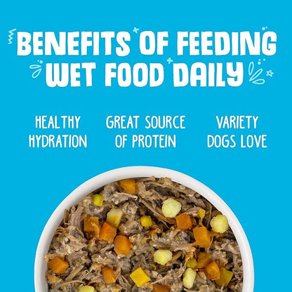 Weruva Classic Dog Food, Variety Pack, Chicken Free, Just 4 Me, Wet Dog Food, 14oz Cans (Pack of 12) - PAWPICO