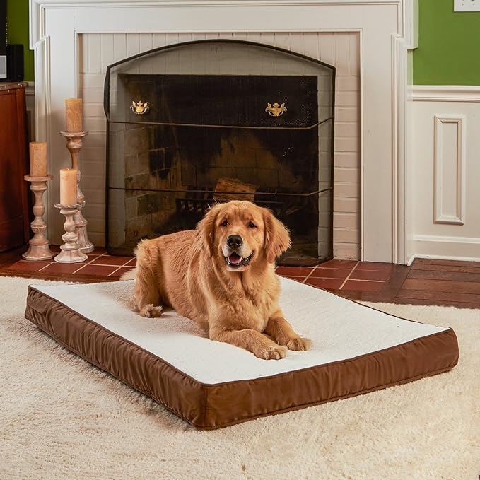 Happy Hounds Oscar Rectangle Orthopedic Foam Sherpa Dog Bed, Large (48 x 36 in.), Mocha - PAWPICO