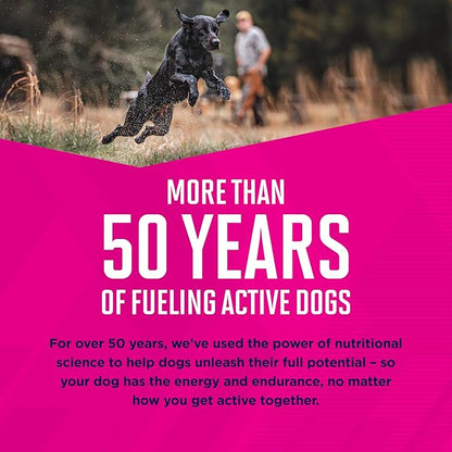 EUKANUBA™ Adult Medium Breed Dry Dog Food, 40 lb - PAWPICO