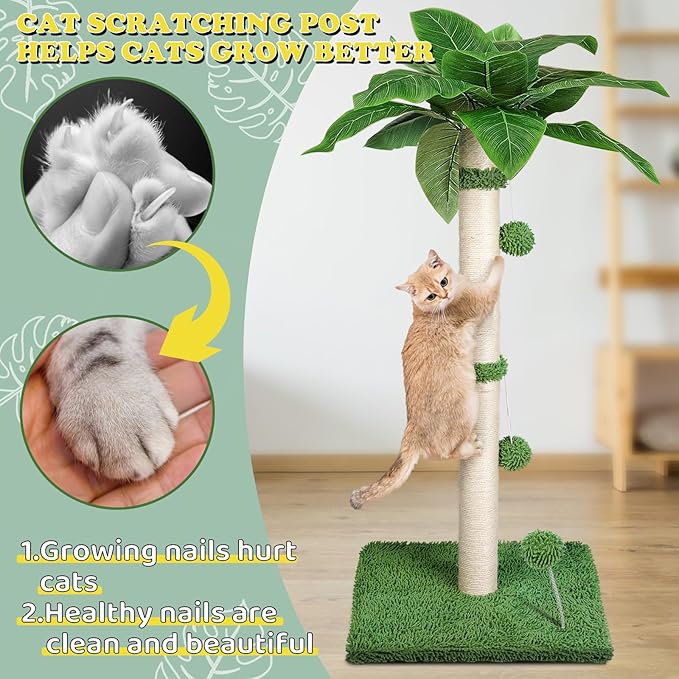 Cat Scratch Post for Indoor Cats Adults,33.5” H Sisal Scratching Post for Kitten & Large Cat, Cat Scratch Post with Spring Ball,Green - PAWPICO