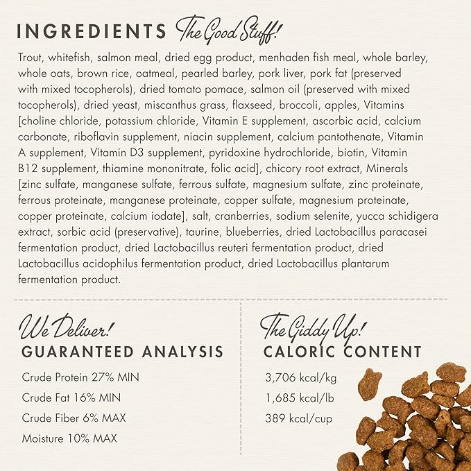 Fromm Four-Star Nutritionals Trout & Whitefish Dog Food - Premium Dry Dog Food - Trout Recipe - 4 lb - PAWPICO