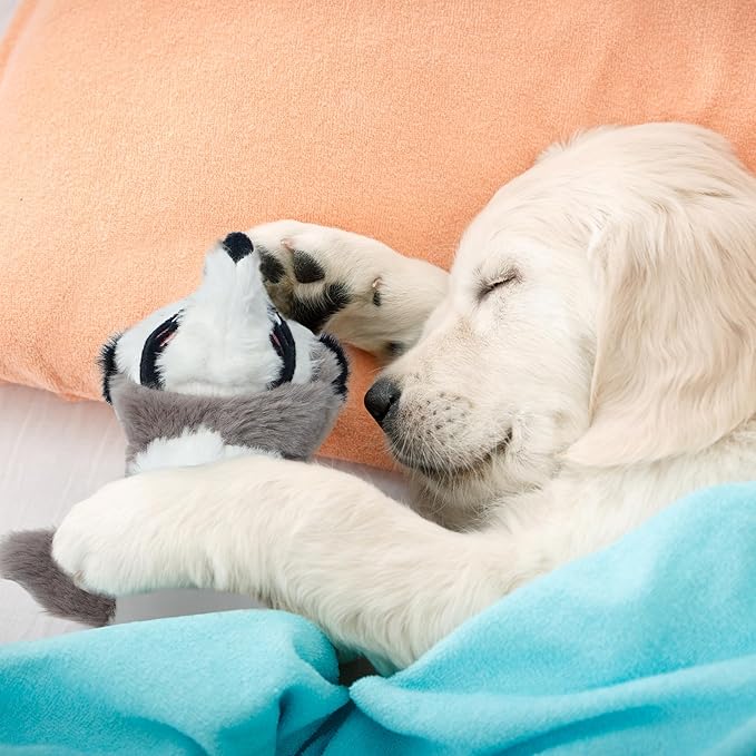 Nocciola 2-in-1 No Stuffing Crinkle Dog Toys with Soft and Durable Fabric, Holds Water Bottles, 2 Extra Long & 3 Regular Size Stuffless Dog Toys, Squeaky Dog Toys for Small to Large Dog - PAWPICO