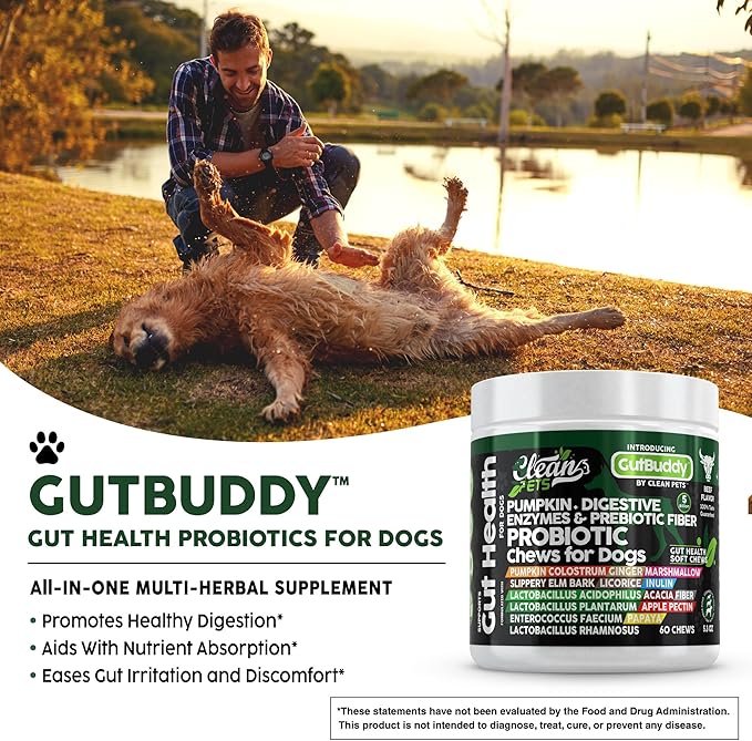 Probiotics for Dogs | Pumpkin Dog Probiotic Gut Health Diarrhea & Bowel Support | Colostrum, Digestive Enzymes, Ginger, Slippery Elm, Licorice, Inulin Fiber | Dog Supplement by Clean Pets - 1Pack CleanPets