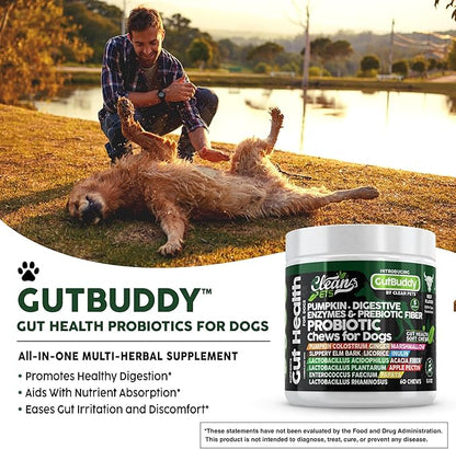 Probiotics for Dogs | Pumpkin Dog Probiotic Gut Health Diarrhea & Bowel Support | Colostrum, Digestive Enzymes, Ginger, Slippery Elm, Licorice, Inulin Fiber | Dog Supplement by Clean Pets - 1Pack CleanPets