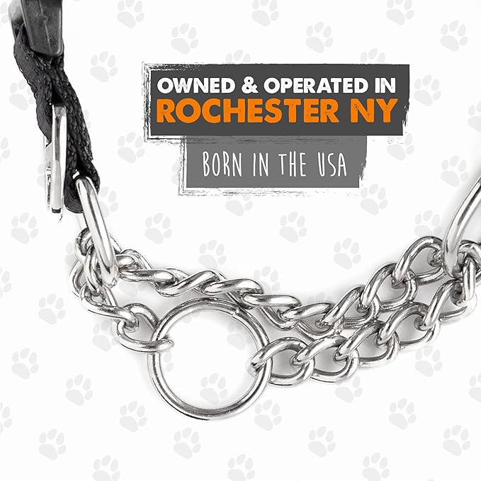 Mighty Paw Martingale Dog Collar 2.0 | Trainer Approved Limited Slip Collar with Stainless Steel Chain & Heavy Duty Buckle - Modified Cinch Collar for Gentle & Effective Pet Training - Medium, Black MightyPaw