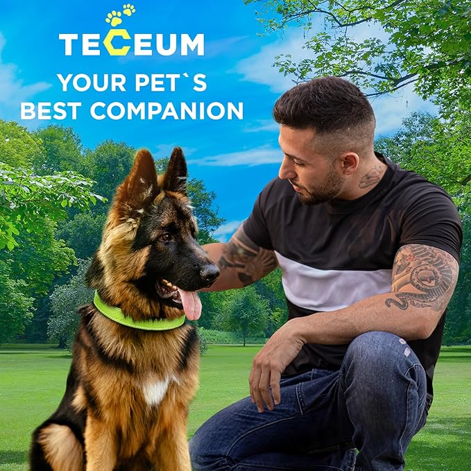 TECEUM Reflective Pet Collar – Acid Green – XS – Basic Nylon Dog Collar – Quick Release Buckle – Fits Small, Medium and Large Dogs, Puppies, Cats – ESA & Service Dog Options TECEUM
