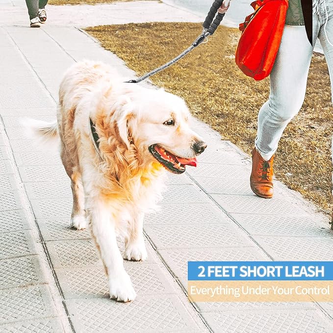 BAAPET 2/4/5/6 FT Dog Leash with Comfortable Padded Handle and Highly Reflective Threads for Small Medium and Large Dogs (2FT-1/2'', Grey) BAAPET