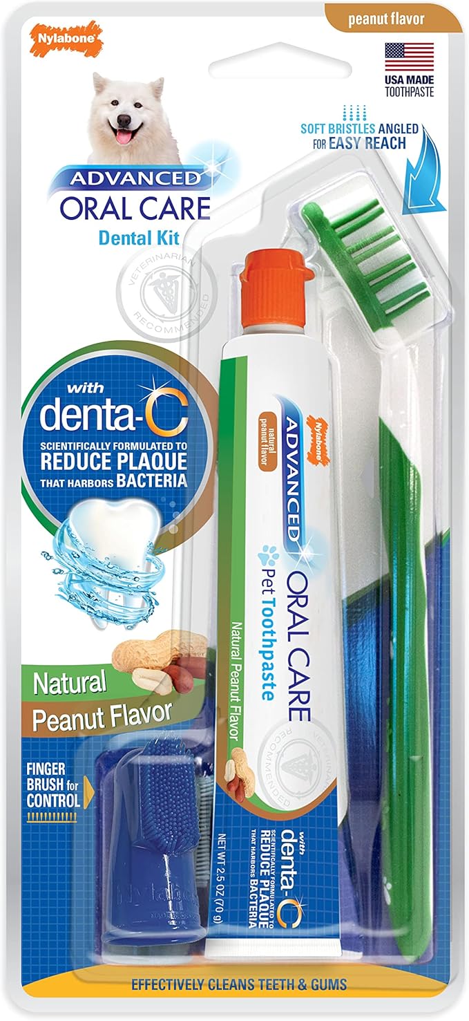 Nylabone Advanced Oral Care Natural Dog Dental Kit Peanut Flavor 2.5 oz. Nylabone