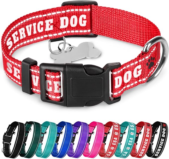 TECEUM Reflective Pet Collar – Red - Service Dog – L – Basic Nylon Dog Collar – Quick Release Buckle – Fits Small, Medium and Large Dogs, Puppies, Cats – ESA & Service Dog Options TECEUM