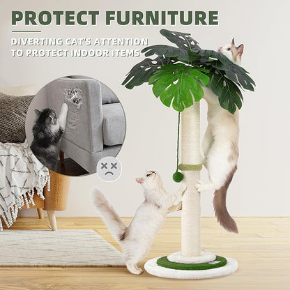MEOWOOU Cat Scratching Post for Indoor Cats and Kitten, 35” Tall Monstera cat Scratching Post with sisal Hanging Interactive Ball, Suitable for Large Adult cat, Kitten, and All Type of Cats - PAWPICO