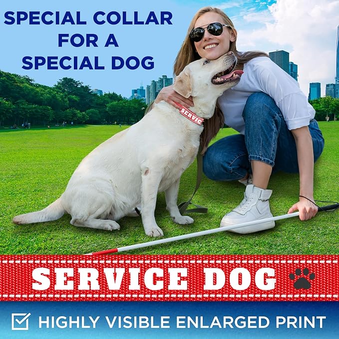 TECEUM Reflective Pet Collar – Red - Service Dog – L – Basic Nylon Dog Collar – Quick Release Buckle – Fits Small, Medium and Large Dogs, Puppies, Cats – ESA & Service Dog Options TECEUM