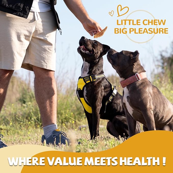 Chicken Jerky Dog Treats, Lower Moisture Content, Healthy Premium Chewy Dog Jerky Treats, 10.6 oz - PAWPICO