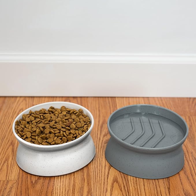 Kitty City Raised Cat Bowls, Small Slow Eat Bowl 2pk (Modern) - PAWPICO
