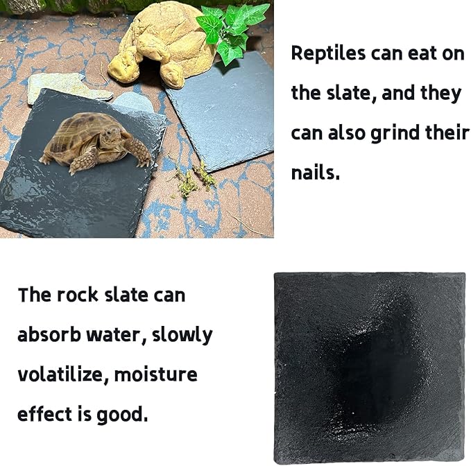 Reptile Basking Platform 2Pcs 6.0''x6.0'' Turtle Rock Plate Slate Feeding Platform Food Dish Bowl Bathing Rock Rest Terrace for Chameleon Lizard Bearded Dragon Gecko Snake Frog Newt (6.0''/15CM) Tfwadmx