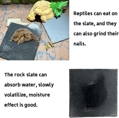 Reptile Basking Platform 2Pcs 6.0''x6.0'' Turtle Rock Plate Slate Feeding Platform Food Dish Bowl Bathing Rock Rest Terrace for Chameleon Lizard Bearded Dragon Gecko Snake Frog Newt (6.0''/15CM) Tfwadmx