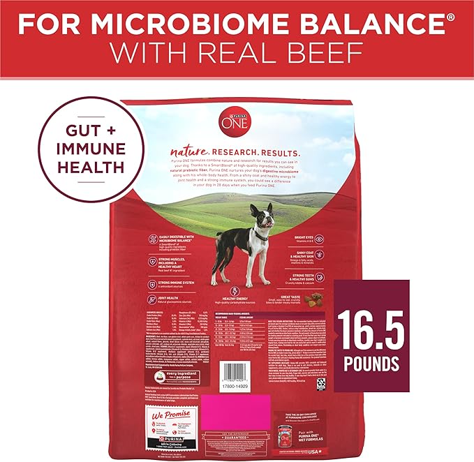 Purina ONE Small Bites Beef and Rice Formula Small High Protein Dry Dog Food Natural With Added Vitamins, Minerals and Nutrients - 16.5 lb. Bag - PAWPICO