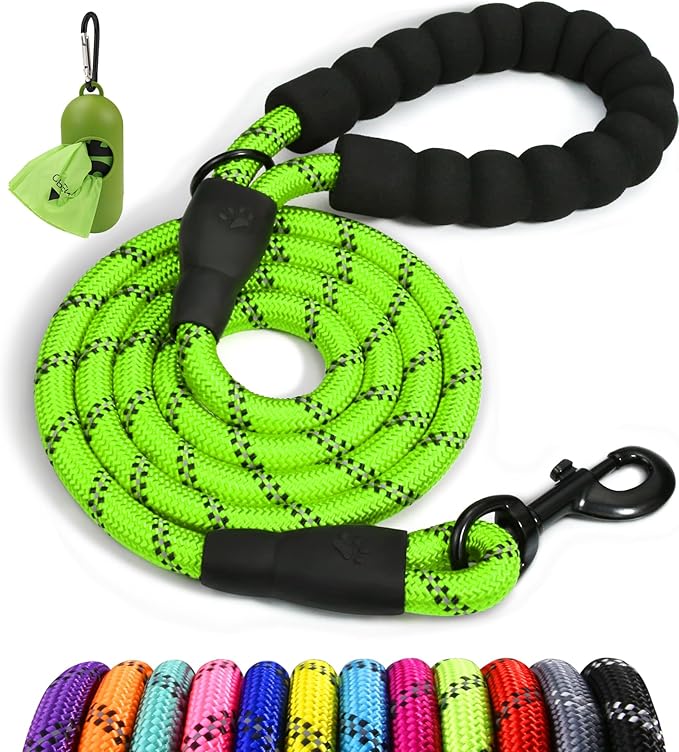 Taglory Rope Dog Leash 6FT with Comfortable Padded Handle, Highly Reflective Threads Leash for Small Dogs, 3/8 inch, Green Taglory
